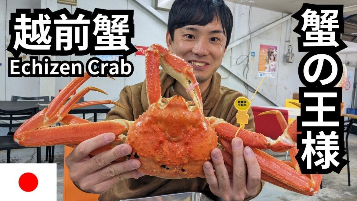越前蟹を福井の敦賀で喰らう旅 Echizen Crab in Tsuruga, Fukui
