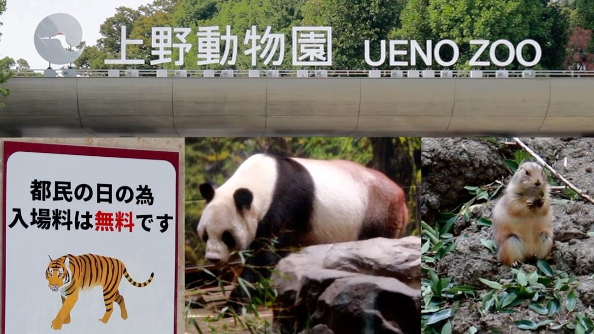 都民の日はタダで楽しめる！上野動物園への魅力的な冒険