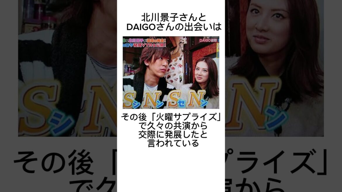 【結婚】北川景子さんとDAIGOさんの結婚に関する雑学 #shorts #美女 #名言 #モーニングルーティン #ナイトルーティン #熱愛 #結婚 #美女