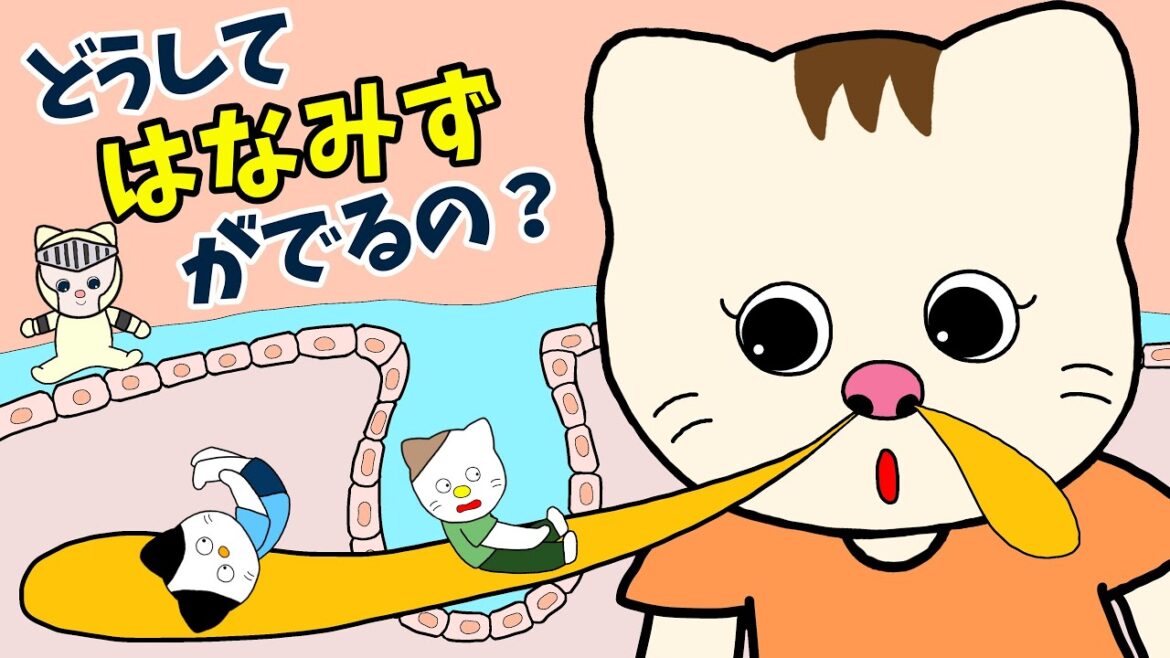 【アニメ 絵本読み聞かせ】どうして鼻水が出るの？〜鼻水と白血球の絵本〜