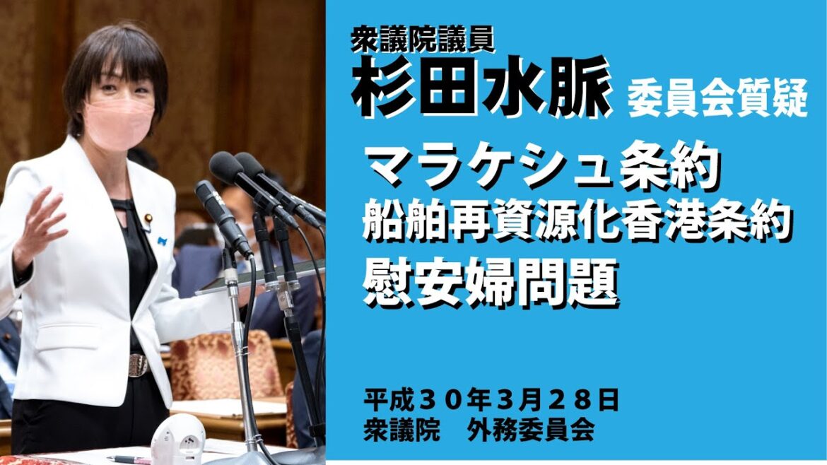 【公式】杉田水脈　平成30年(2018) 3月28日(水) 衆議院 外務委員会