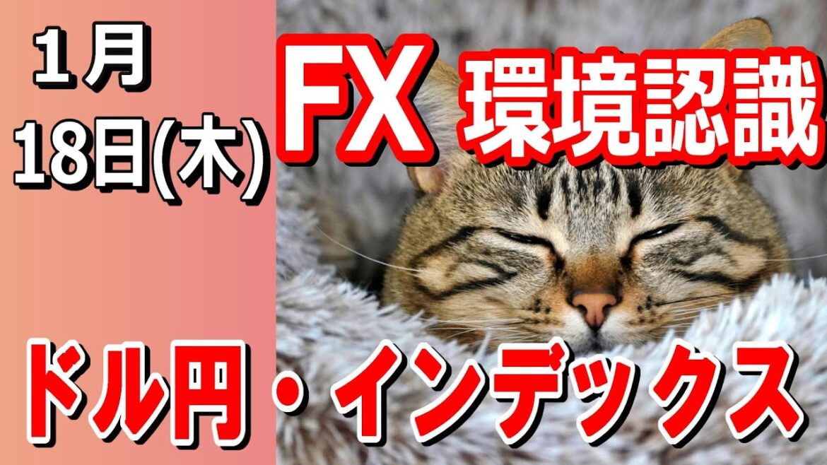 【TAKA FX】ドル円の環境認識解説。インデックス、日経平均、NYダウ、GOLDも。1月18日(木)