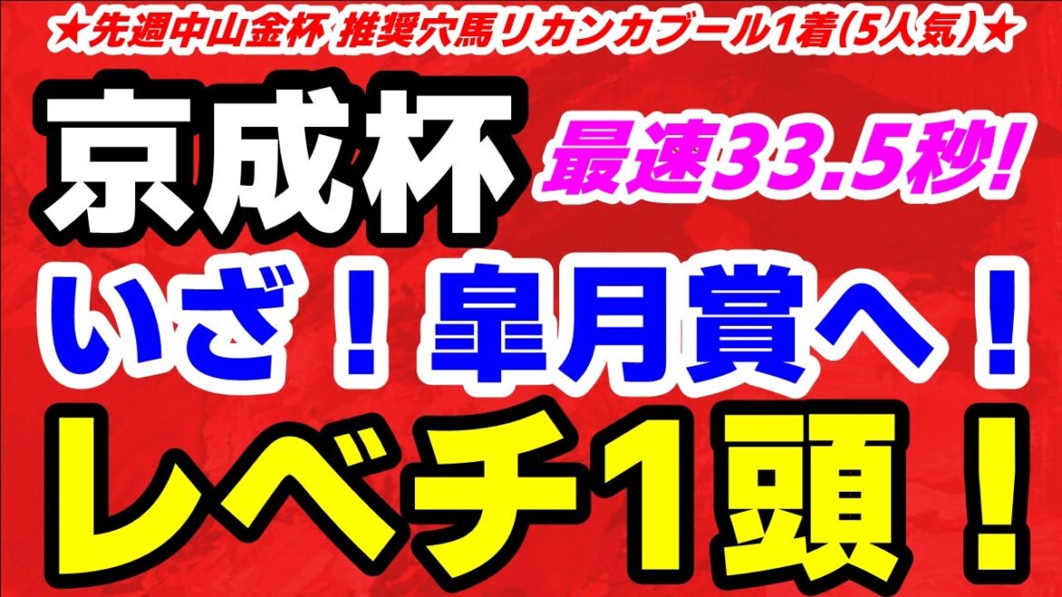 京成杯2024【6-2-1-0】最速33.5秒!レべチ1頭!いざ皐月賞へ 京成杯2024【6-2-1-0】最速33.5秒!レべチ1頭!いざ皐月賞へ