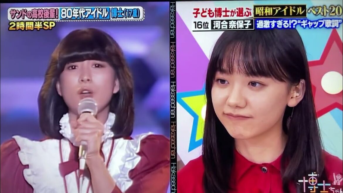 博士ちゃんが選ぶ⭐️昭和アイドルベスト２０No. 1 歌姫🌺河合奈保子さん🍏🍎🍏2022夏②