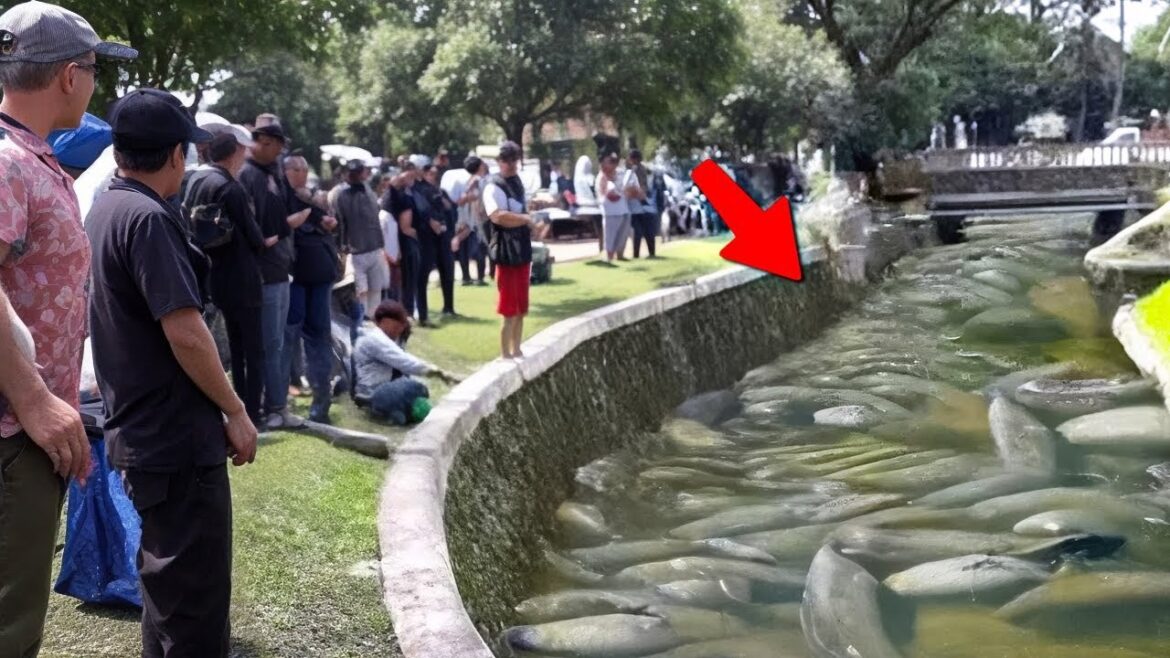 カメラが捉えた！驚き仰天の瞬間映像