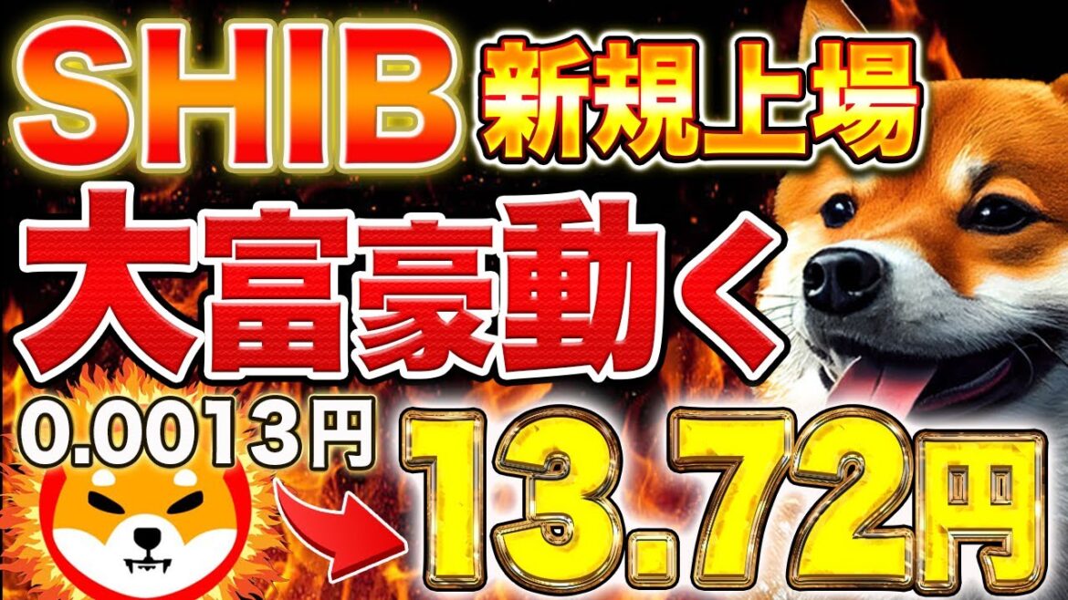 シバイヌコイン【保有者おめでとう】1000倍で1億稼げる！大手取引所へ上場確定！大富豪が動く【仮想通貨】【シバリウム】