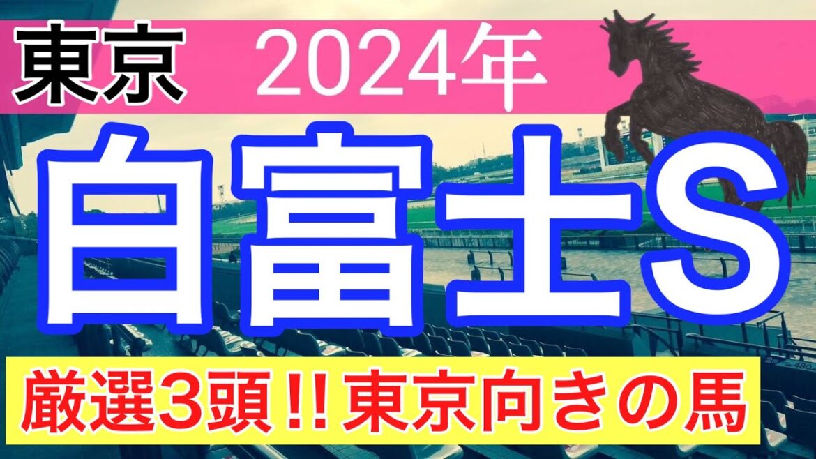 【白富士ステークス2024】競馬予想(先週中央競馬6戦5的中)