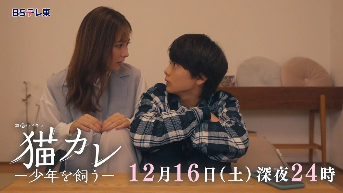 真夜中ドラマ「猫カレ -少年を飼う-」第11話 | ＢＳテレ東