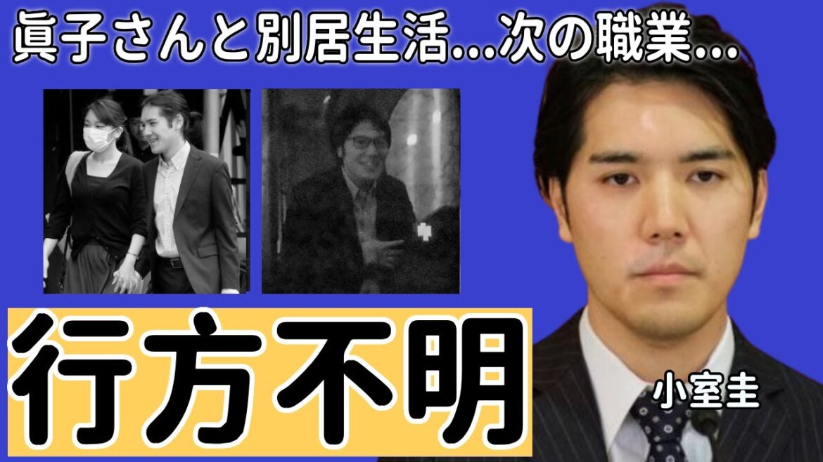 小室圭が眞子さんと別居で行方不明の現在...判明された次の職業に一同驚愕...！秋篠宮家が崩壊間近の危機がヤバすぎる...
