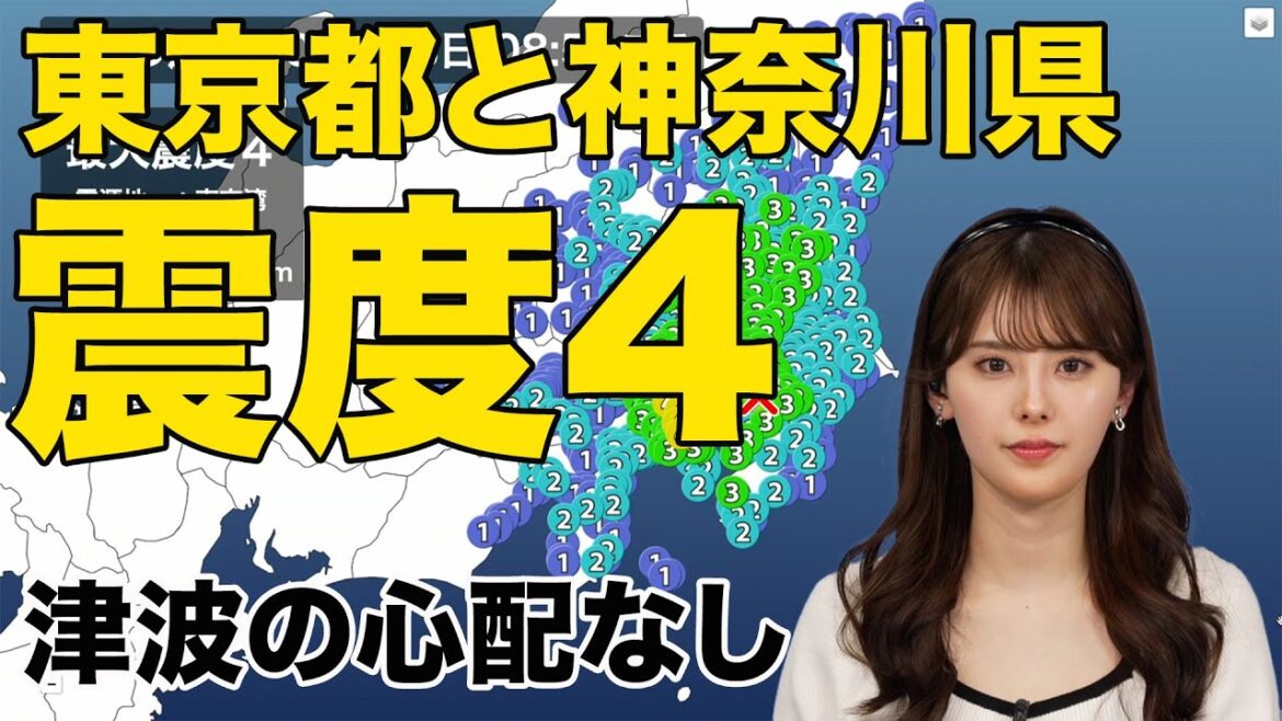 【地震速報】東京湾でM4.8の地震　東京都と神奈川県で震度4　津波の心配なし