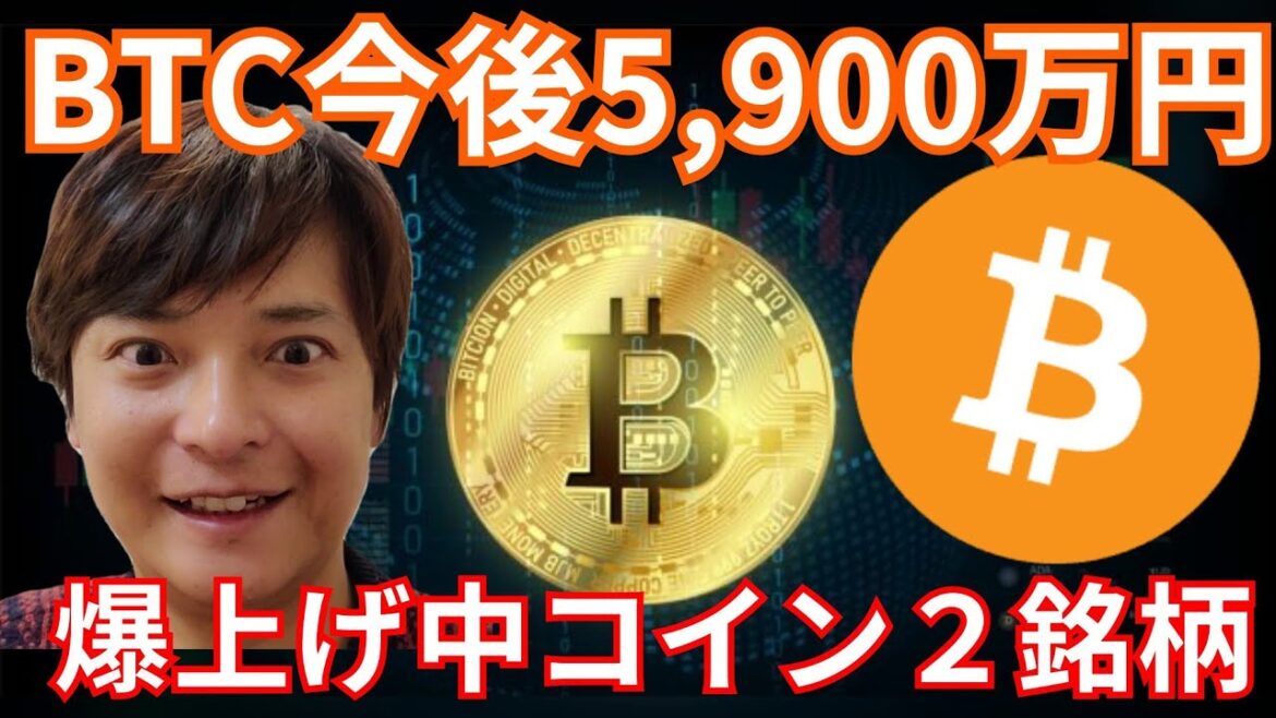 ビットコイン 今後5,900万円 (40万ドル)の明確な理由。爆上げ仮想通貨２つを紹介