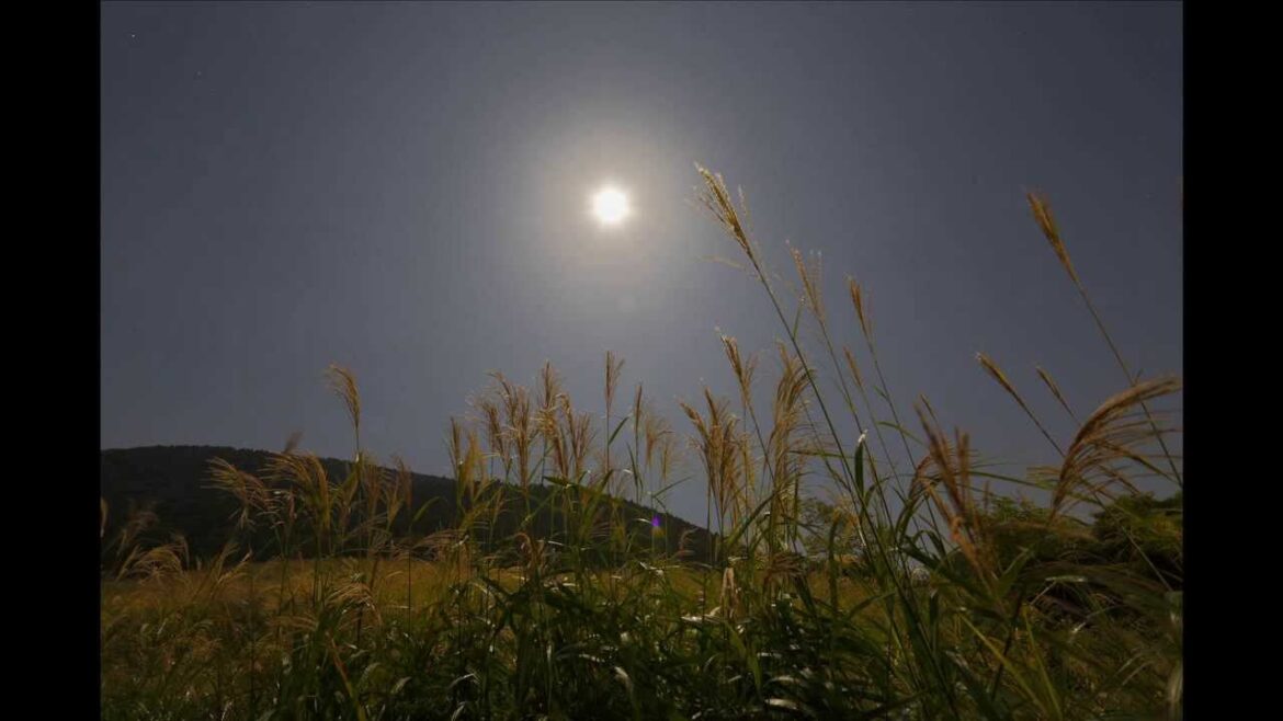 2013.09.19 中秋の名月 Full Moon