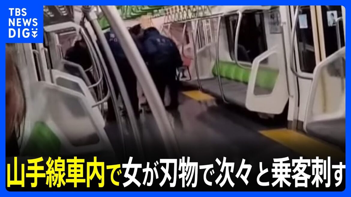 JR秋葉原駅・山手線車内で女が刃物で次々と乗客刺す　4人けが、刺された3人は重傷　警視庁は女を殺人未遂の疑いで現行犯逮捕｜TBS NEWS DIG