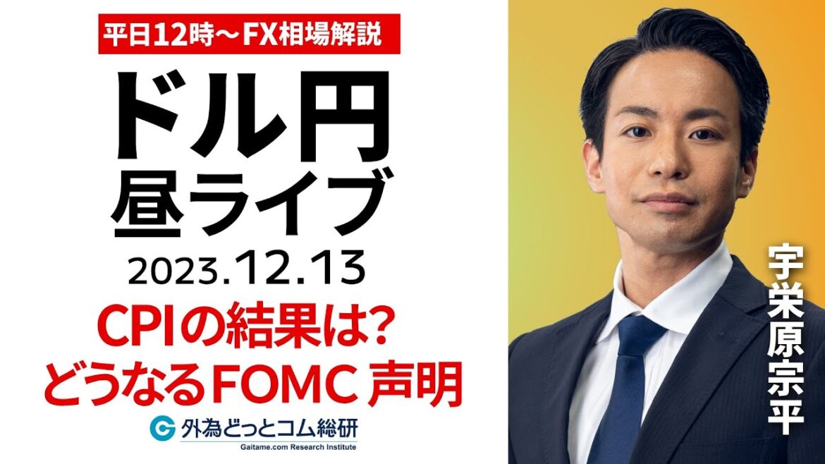 【FXライブ解説】米CPIの結果を受けたドル円は?どうなるFOMC声明|為替市場の振り返り、今日の見通し配信  2023/12/13 【FXライブ解説】米CPIの結果を受けたドル円は?どうなるFOMC声明|為替市場の振り返り、今日の見通し配信  2023/12/13