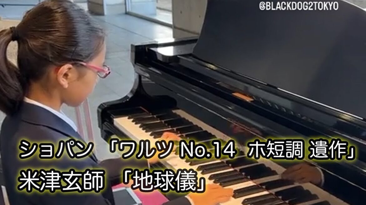 【ストリートピアノ ライブ】 ショパン 「ワルツ No.14 」、米津玄師 「地球儀」 【ストリートピアノ ライブ】 ショパン 「ワルツ No.14 」、米津玄師 「地球儀」