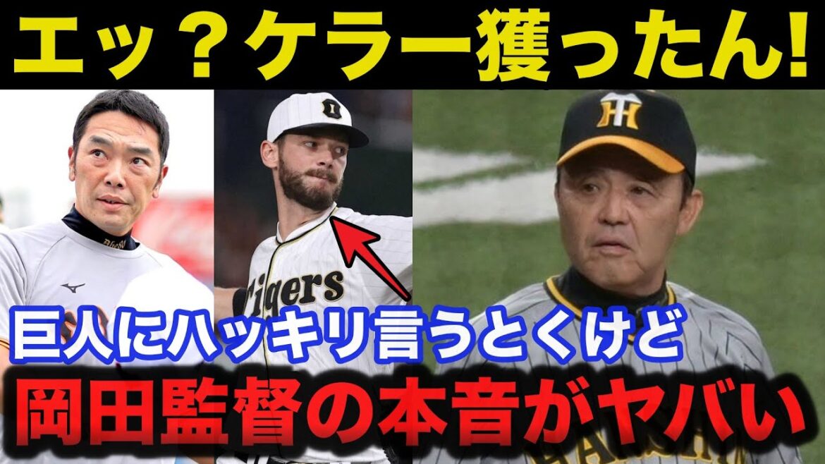 【禁断の移籍】巨人”カイルケラー”獲得に阪神.岡田監督が放った耳を疑う一言に驚きを隠せない【阪神タイガース/プロ野球】 【禁断の移籍】巨人”カイルケラー”獲得に阪神.岡田監督が放った耳を疑う一言に驚きを隠せない【阪神タイガース/プロ野球】