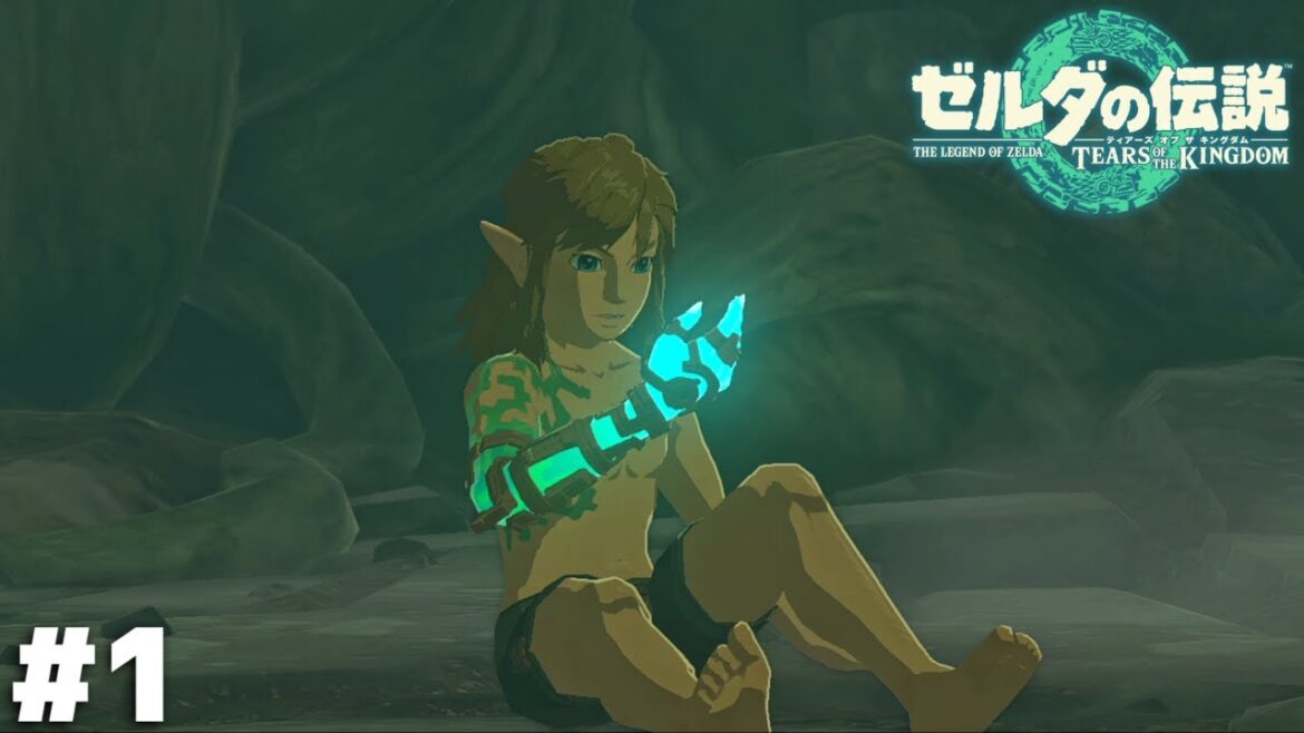 またパンイチスタートかよ【ゼルダの伝説 ティアーズ オブ ザ キングダム】#1 またパンイチスタートかよ【ゼルダの伝説 ティアーズ オブ ザ キングダム】#1