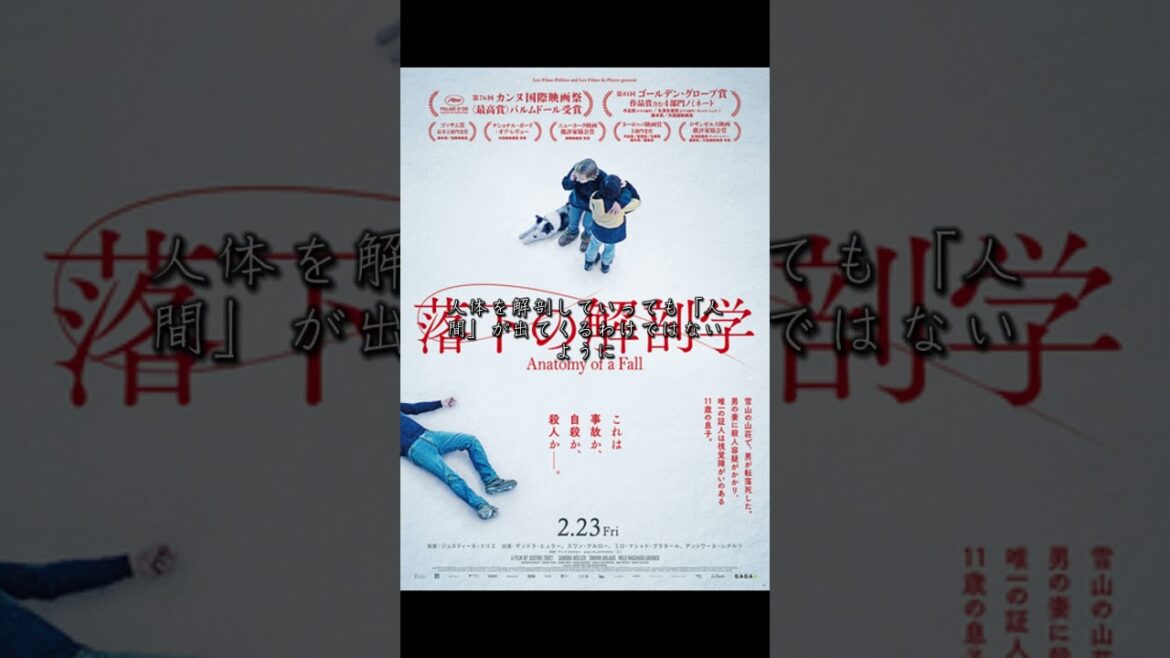 『落下の解剖学』はパルム・ドール獲得。アカデミー賞ノミネート。その理由は、単なるミステリーではなく、道徳を扱った作品だから。 #shorts #コンテンツ探偵 #落下の解剖学 #fyp