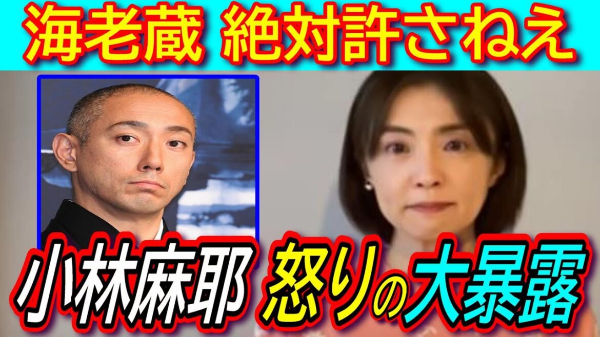 【小林麻耶】市川海老蔵を痛烈批判！妹・小林麻央さんに対する接し方などを暴露！を、なぜか元夫・國光吟氏のYouTubeチャンネルで発信ｗｗ