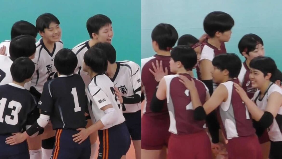 【春高2024 女子決勝】フル 就実 VS 下北沢成徳  春高バレー