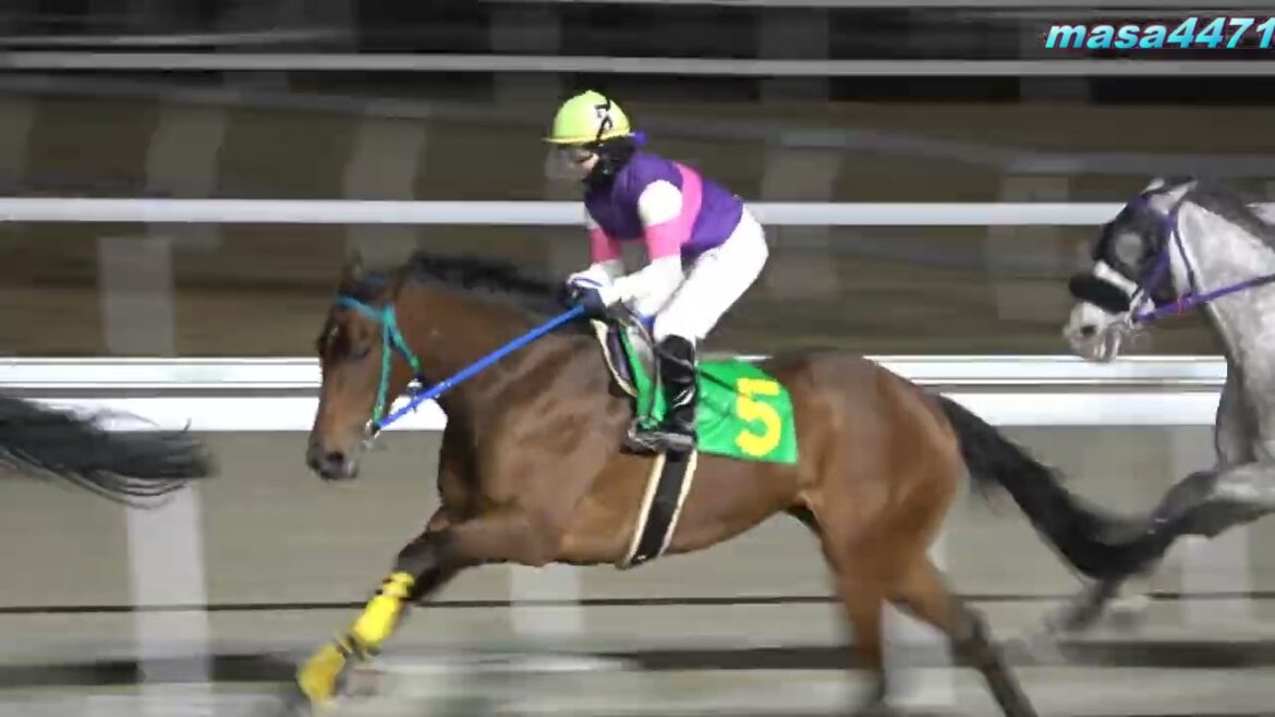 【現地撮影】2024年2月13日名古屋競馬10Rショコラ特別グレースプロード＆宮下瞳騎手5着！