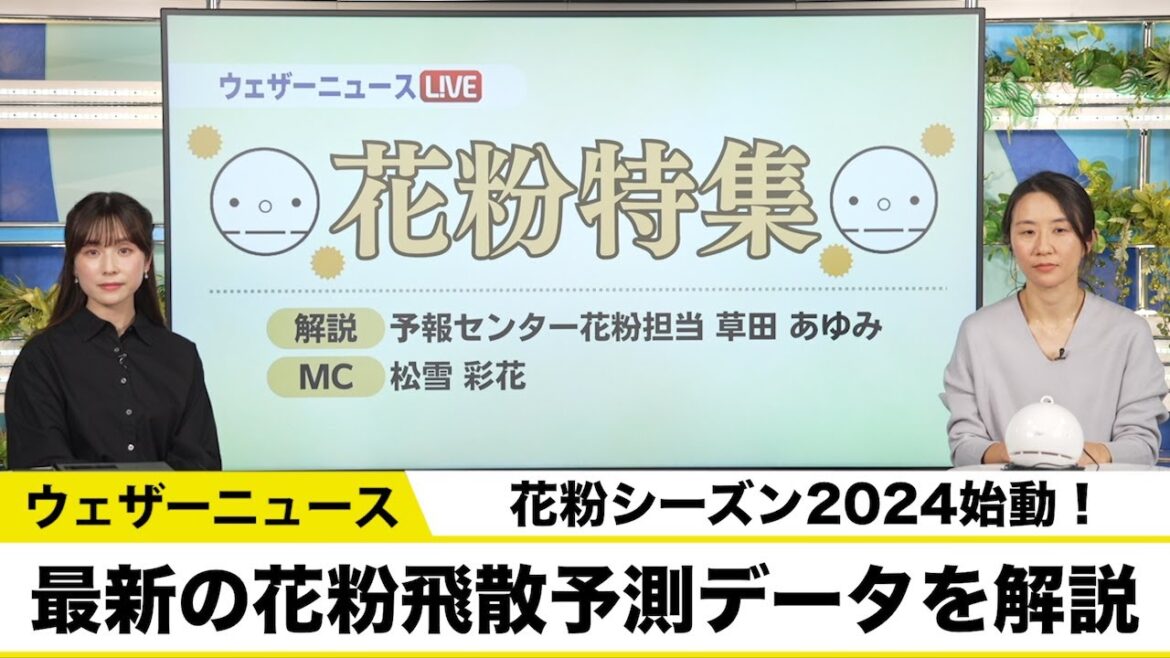 【花粉特集】花粉シーズン2024始動！最新の花粉飛散予測データを解説