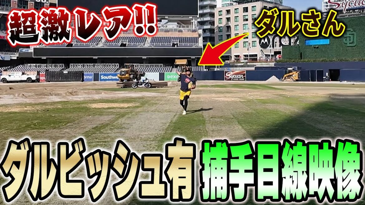【超貴重】ダルビッシュ有さんとキャッチボールさせてもらった