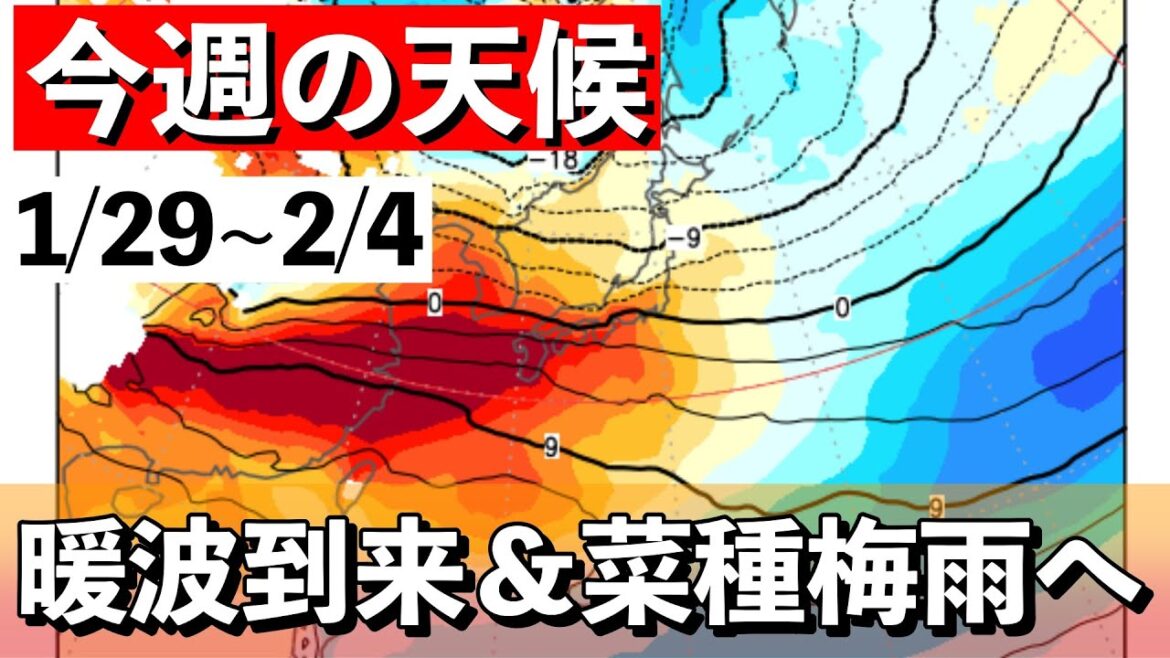 【週間解説】季節外れの高温　早くも菜種梅雨入り　気象予報士解説 (1月29日夜配信)
