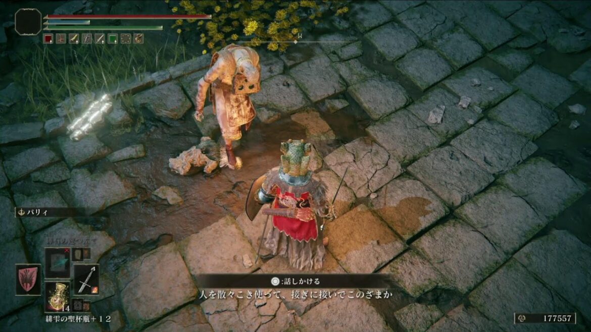 【#2-003L】ハカハカしながらエルデンリング2週目【PS5】