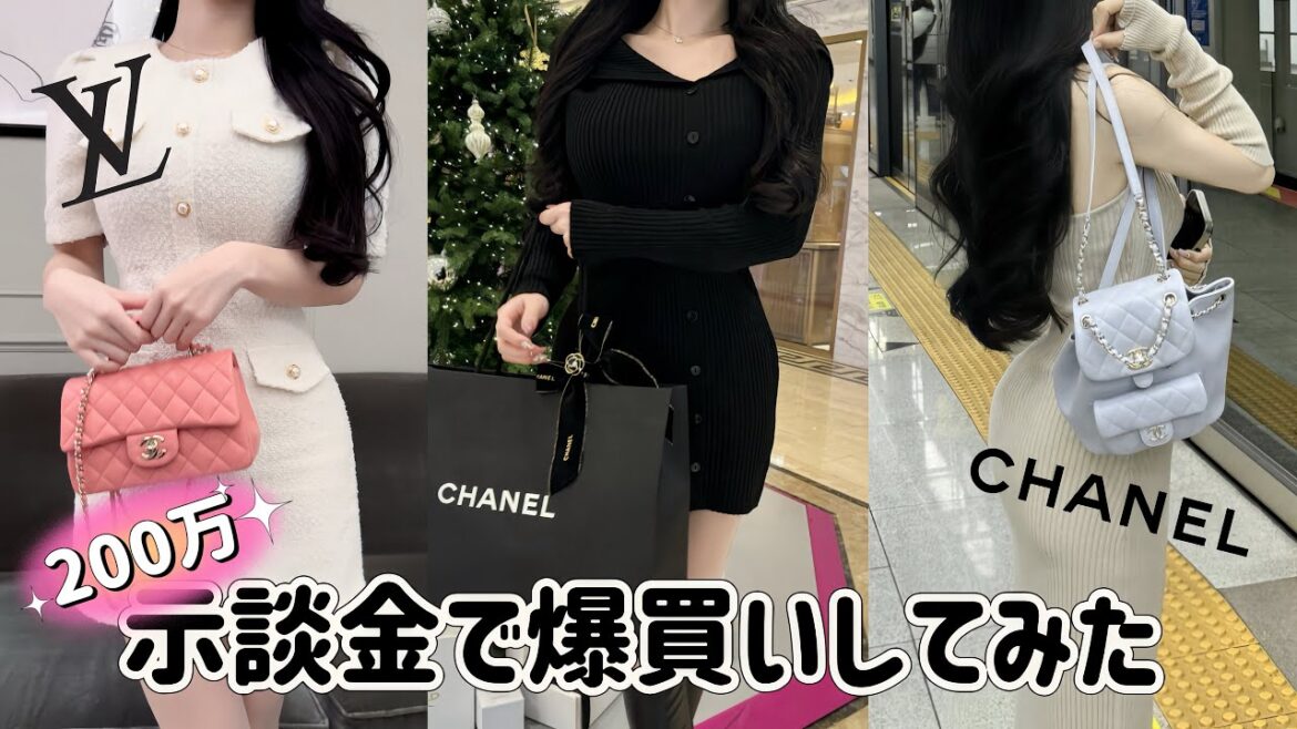 アンチのお金でCHANEL爆買いしてみた