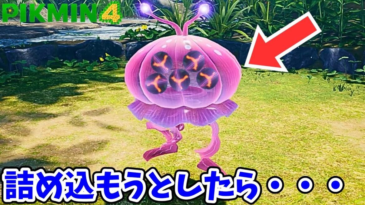 オオマンマンの中に爆弾を詰め込みまくろうとしたらまさかの！？【ピクミン4】