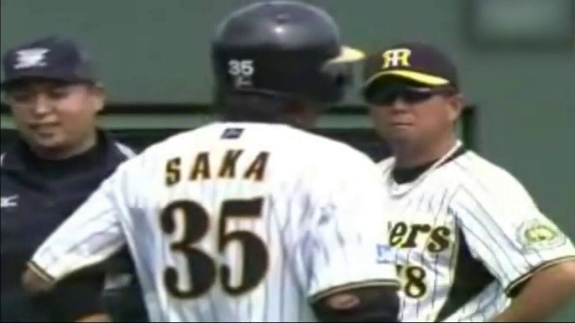 クソボールやないか！平田監督キレる！誤審常習犯白井　阪神タイガース必殺抗議人