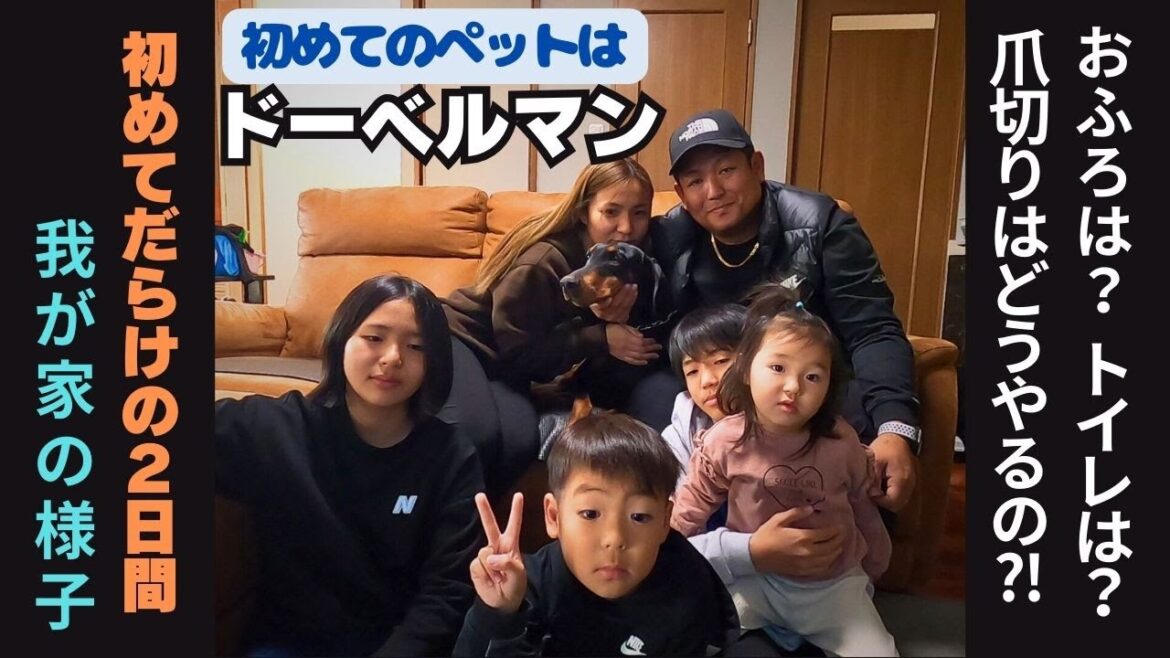 ドーベルマンを飼うことになりました！！掃除、準備、お散歩...初めてだらけの週末の様子を動画にしました
