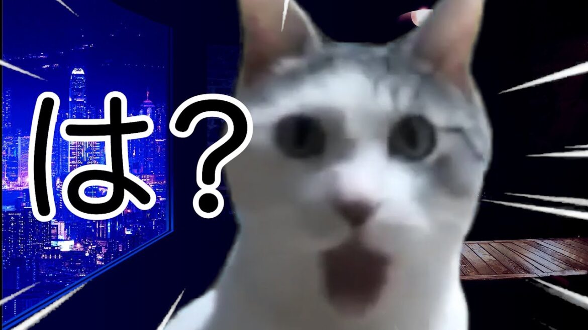人生で初めてハプニングBARに行った話  #猫ミーム #猫マニ