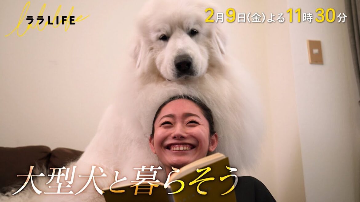 安藤美姫､家で大型犬を飼う｡子犬から成犬､そして老犬へ『ララLIFE』2/9(金)【TBS】