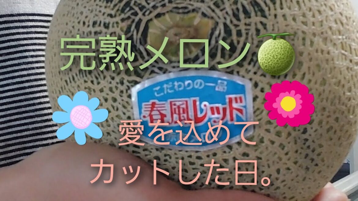 完熟メロンと真摯に向き合う。#スイーツ #美味しい