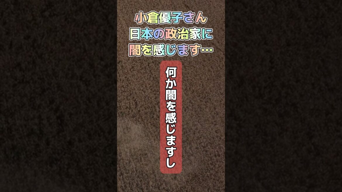 小倉優子さん、日本の政治家に闇を感じます… #小倉優子 #政治家 #闇