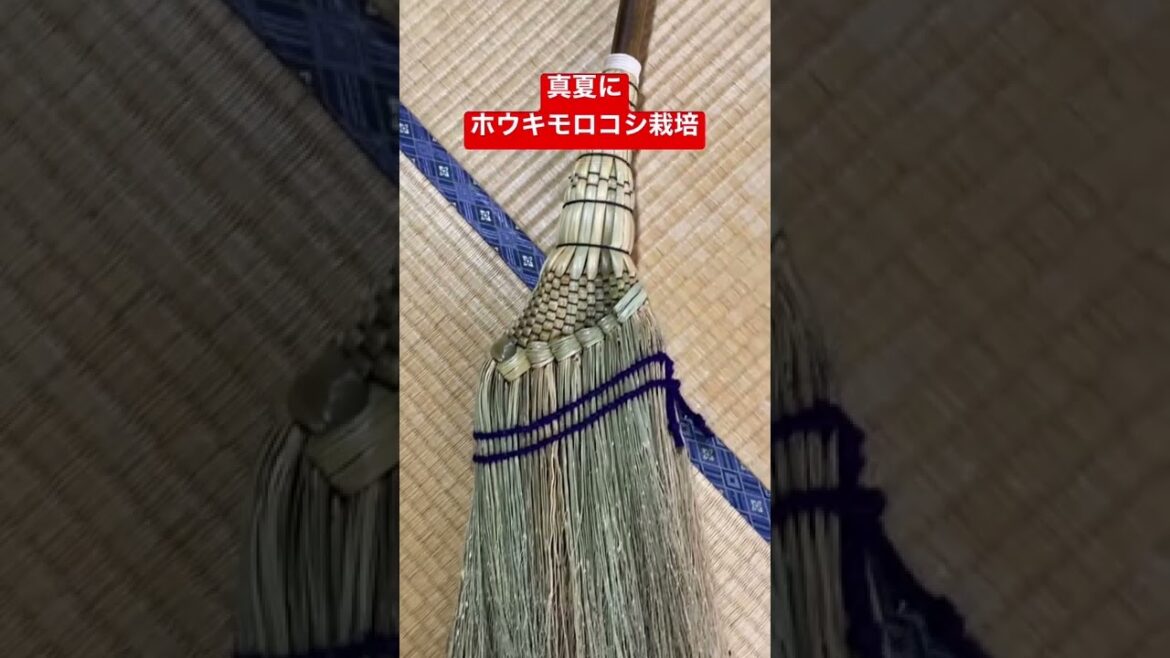 川場村の伝統工芸品「生品箒」が出来るまで