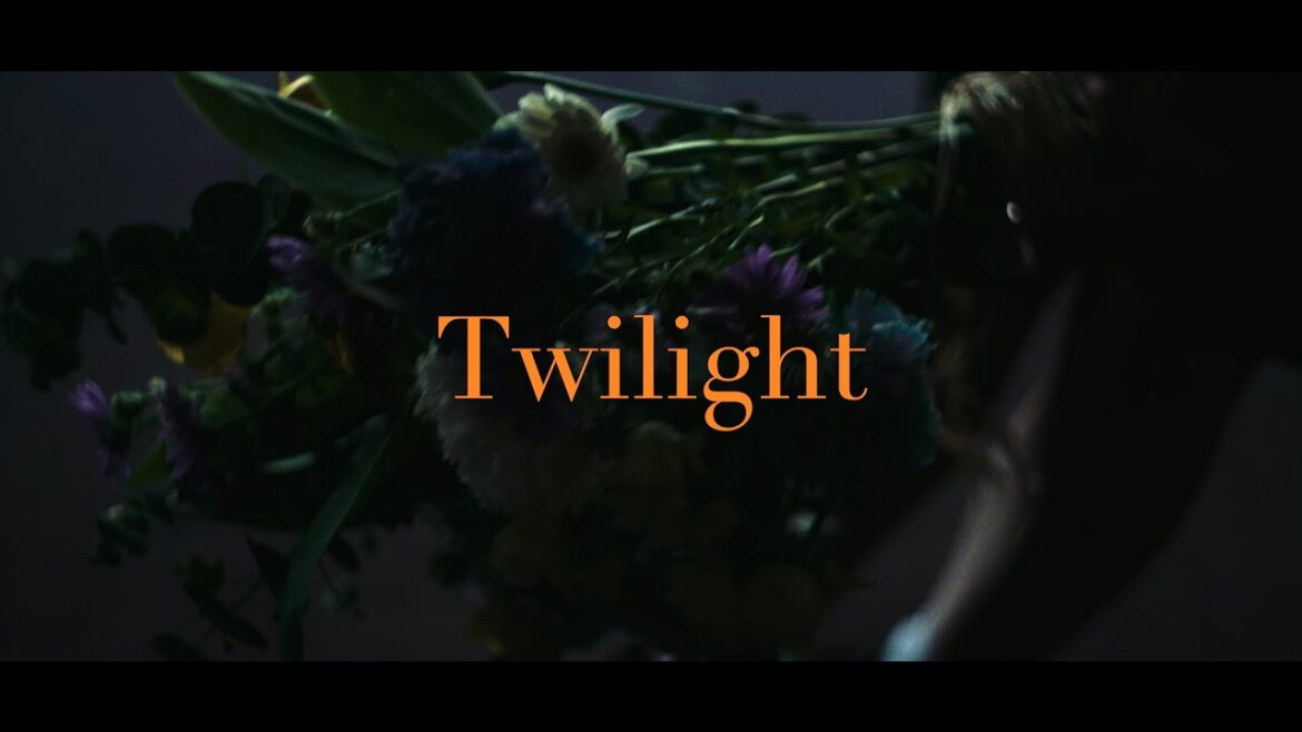 藤原さくら - Twilight （Music Video）