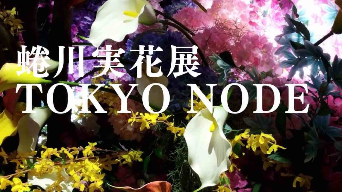蜷川実花展　瞬きの中の永遠　Tokyo Node #蜷川実花　#TOKYONODE