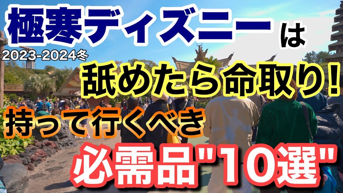 [解説]2023-2024冬ディズニーは舐めたら終わる...忘れたら困る必需品10選！