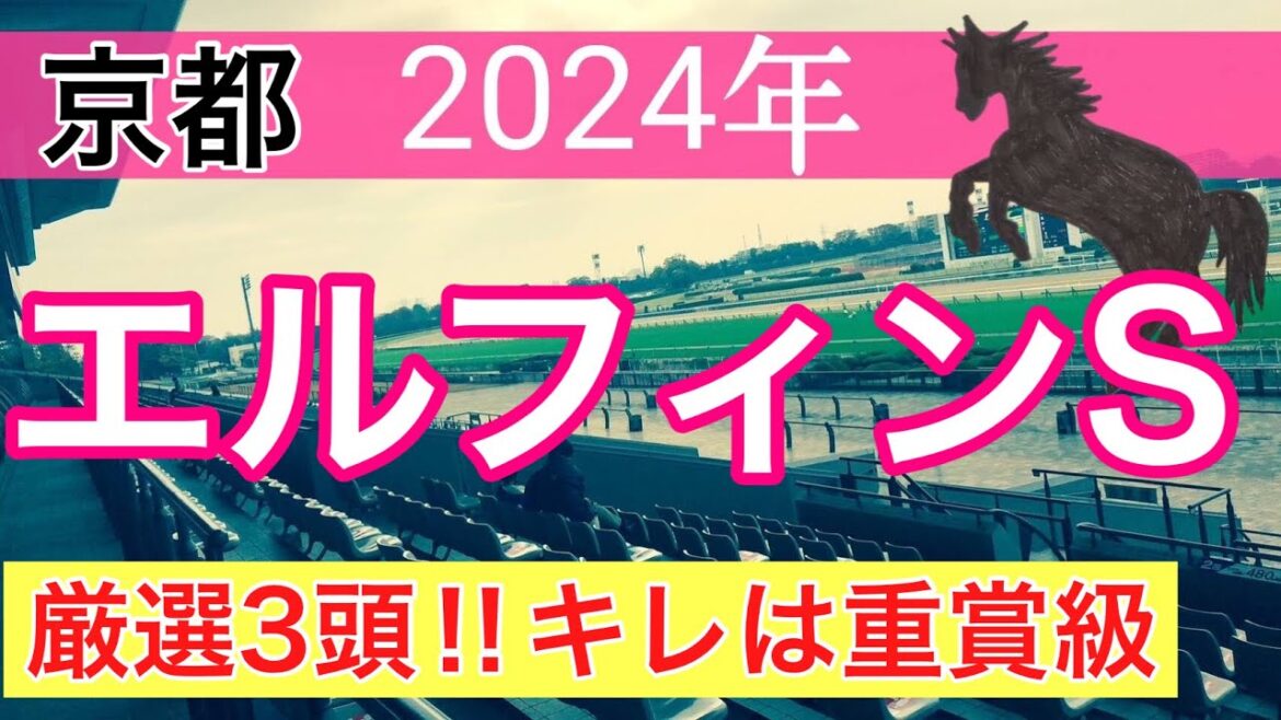【エルフィンステークス2024】競馬予想(直近2週中央競馬予想12戦10的中)