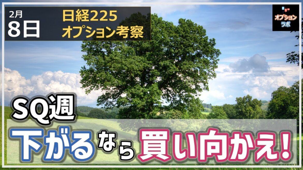 【日経225オプション考察】2/8 日経平均 SQ週にレンジ！ もし36000割るなら押し目チャンスか!?