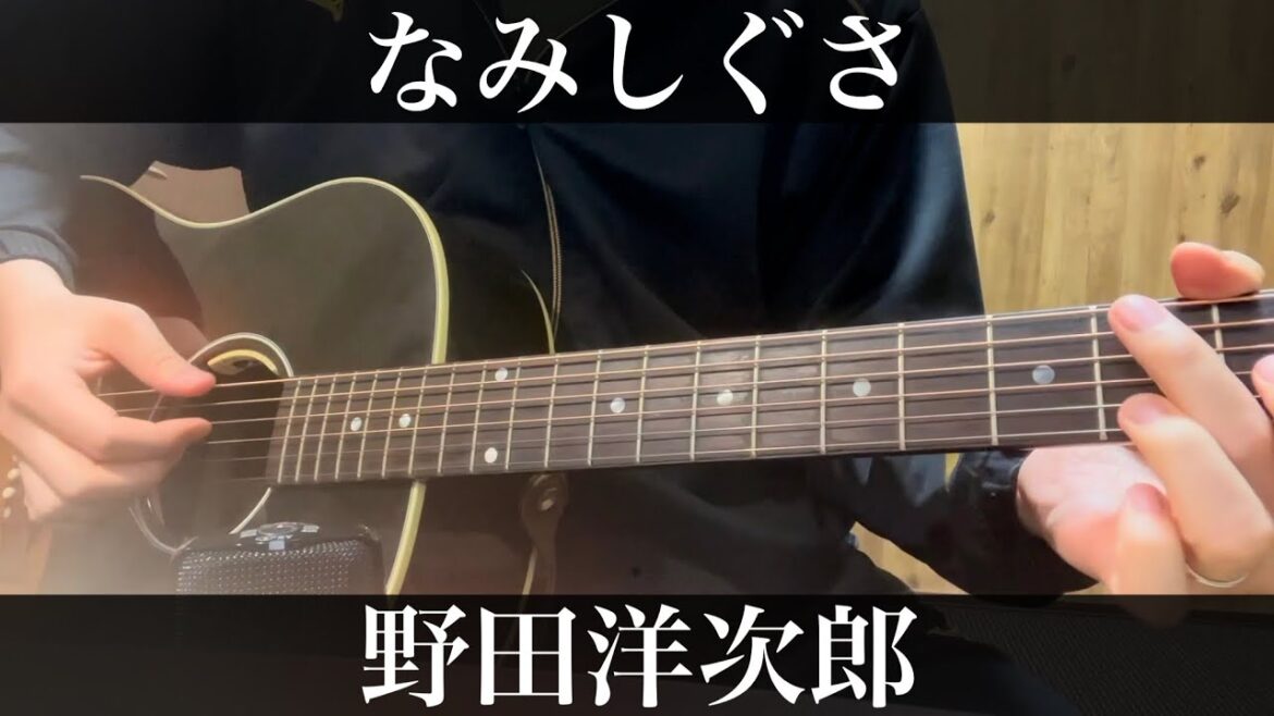 なみしぐさ / 野田洋次郎  映画パレード 主題歌　コード付弾き語りカバー