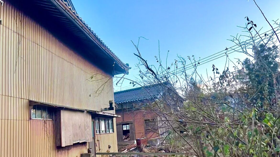 巨大地震がきた！！