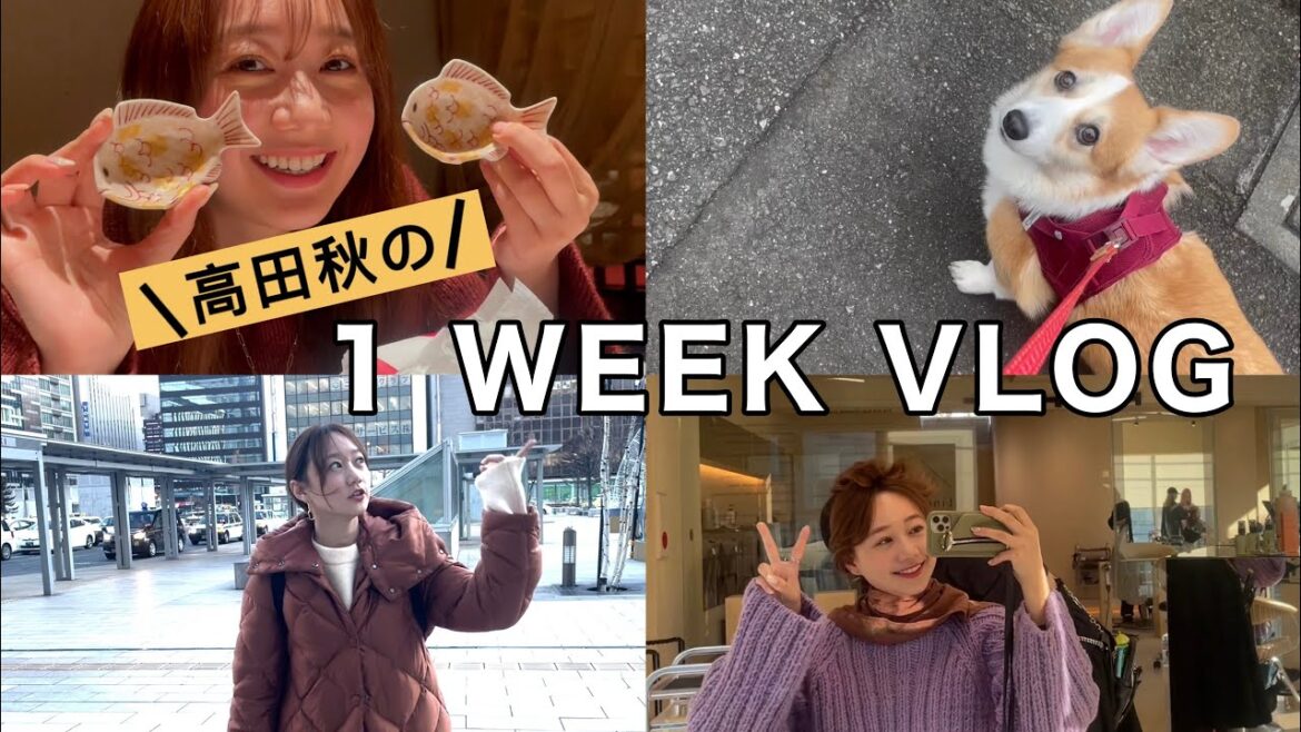 【1週間VLOG】高田秋の年末の1週間を大公開! 【1週間VLOG】高田秋の年末の1週間を大公開!