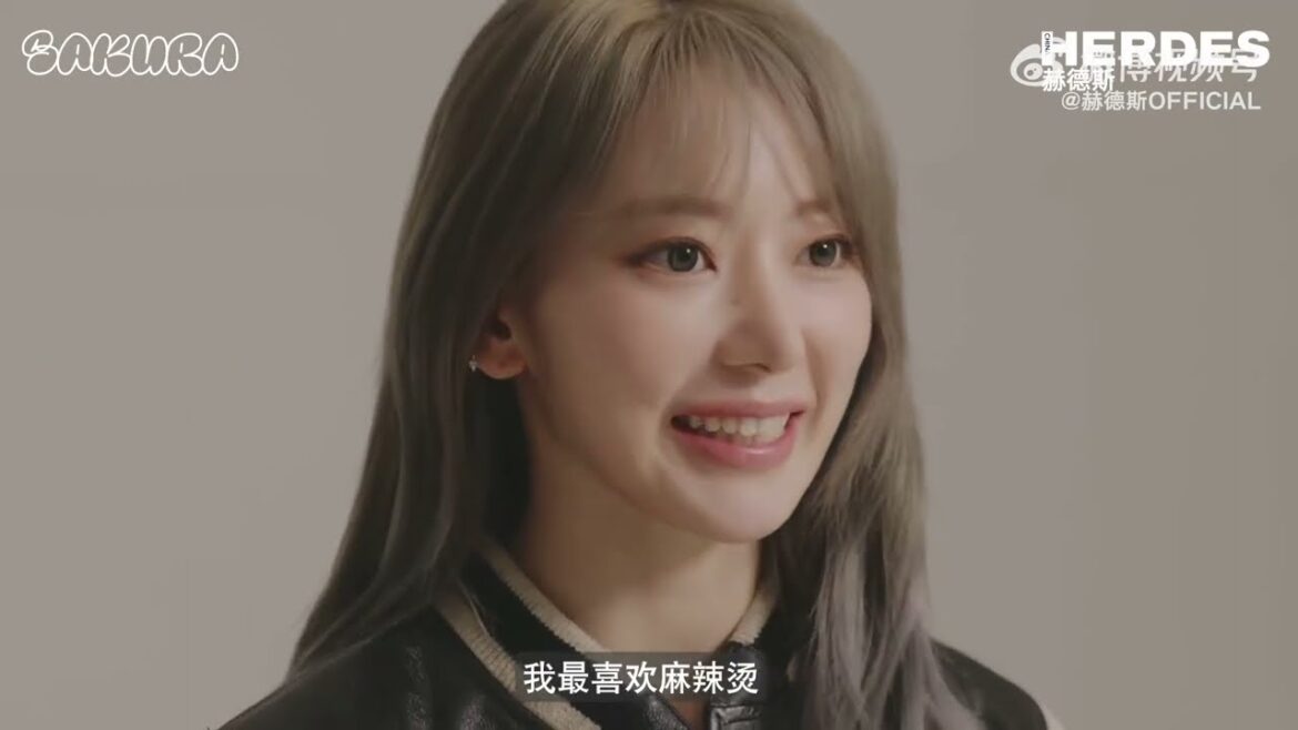 (ENGSUB) 🌸🌸宮脇咲良 [Q & A] SAKURA X HERDES MAGAZINE 170224