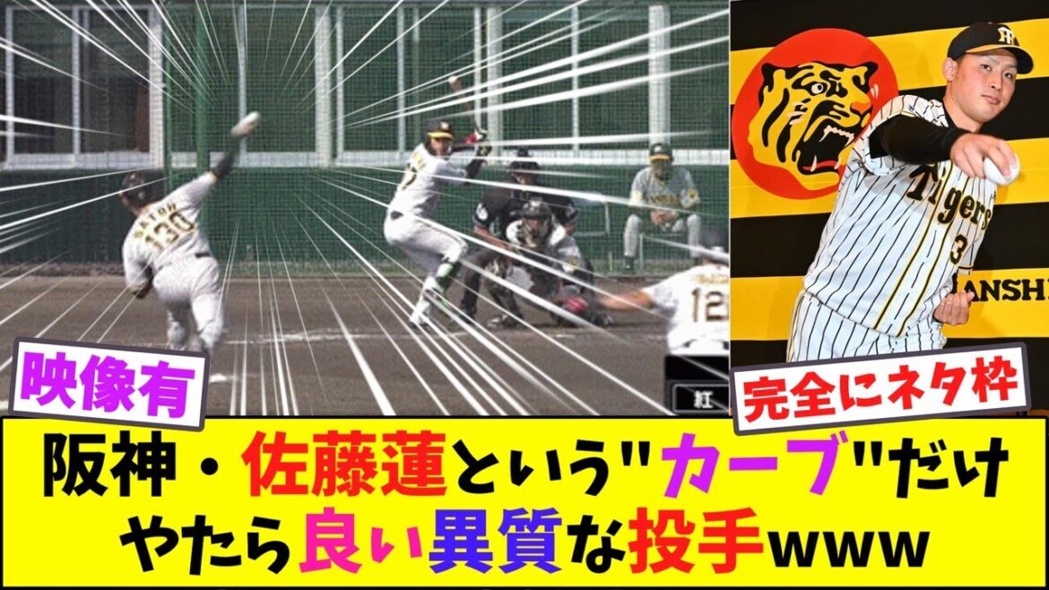 阪神・佐藤蓮という"カーブ"だけやたら良い異質な投手www【なんJ反応】