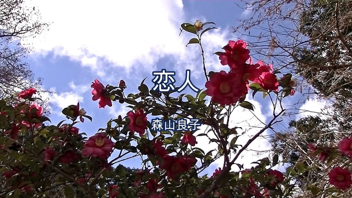 2024-1-2　恋人／森山良子