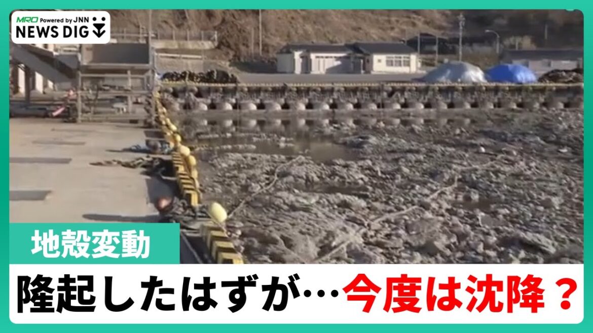 「海岸線などが地震前に戻る可能性は低い」【石川・能登半島地震】